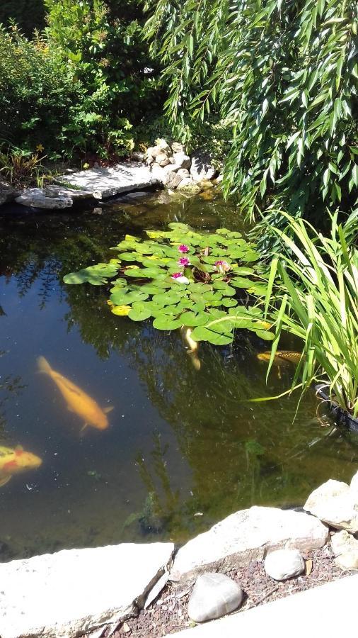 ビスカロッス Le Jardin De Nemo Bed & Breakfast エクステリア 写真